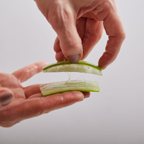 Aloe Vera Frischblatt