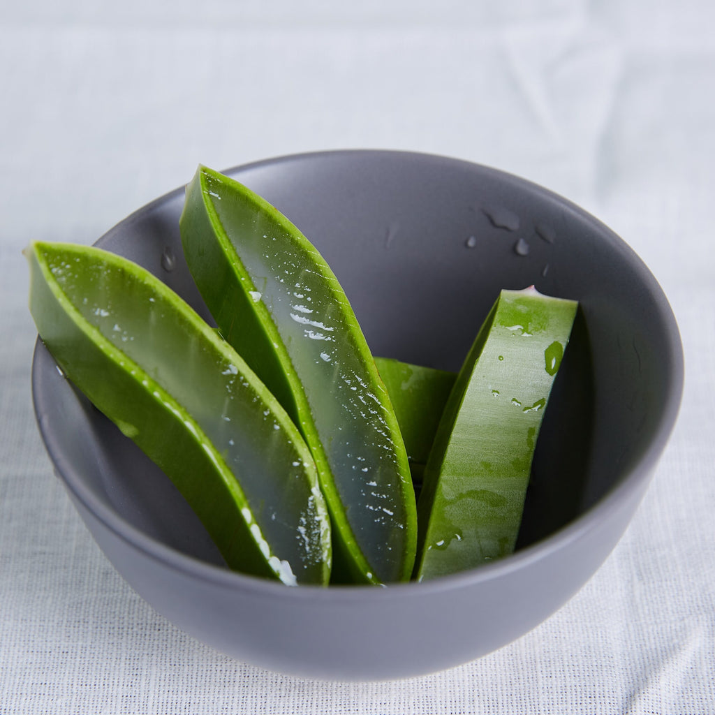 Aloe Vera Frischblatt