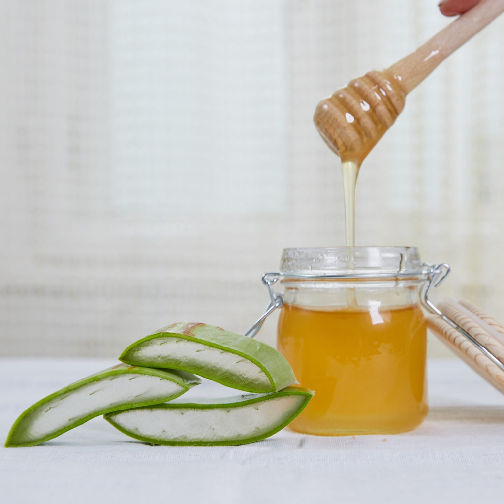 Aloe Vera Frischblatt