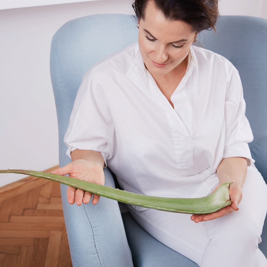 Aloe Vera Frischblatt