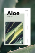 Aloe Vera Handbuch